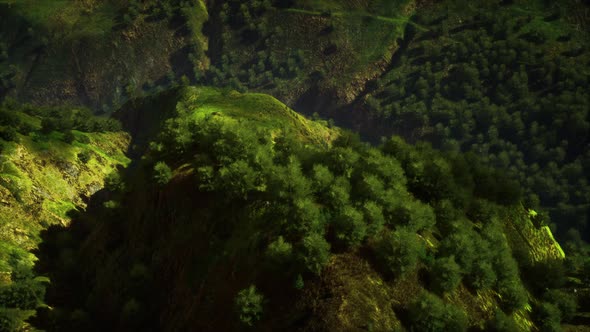 Tropical Forest in Morning View of Highland Malaysia