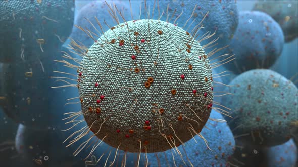 Science animation of the internal structure of the cell