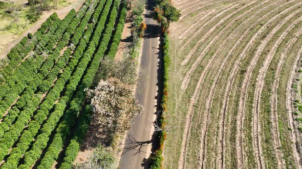 Countryside scenic aerial landscape. Rural life scenery.