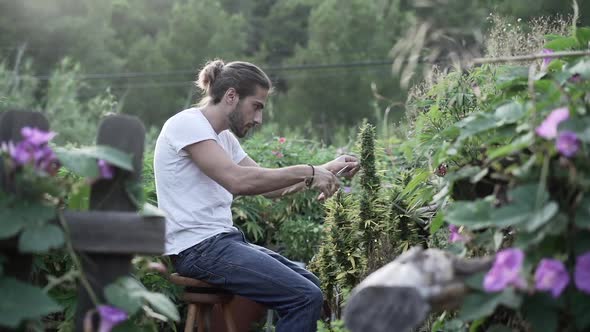 Dedicated Marijuana Farmer Taking Care of His Plants on Lost in the Forest Plantation