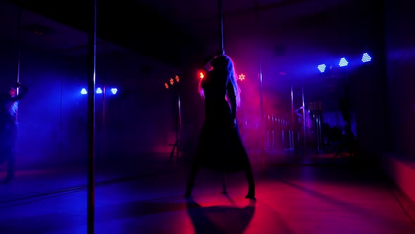 A Woman with Long Hair in a Transparent Dress is Dancing on a Pole