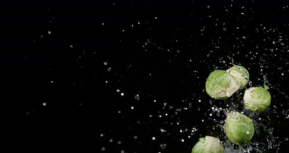 Brussels Sprouts, brassica oleracea, Vegetable falling into Water against Black Background