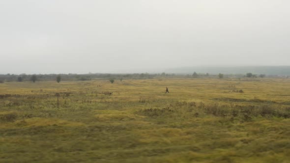 Documentarist walking in a vast foggy moorland in autumn,Czechia.