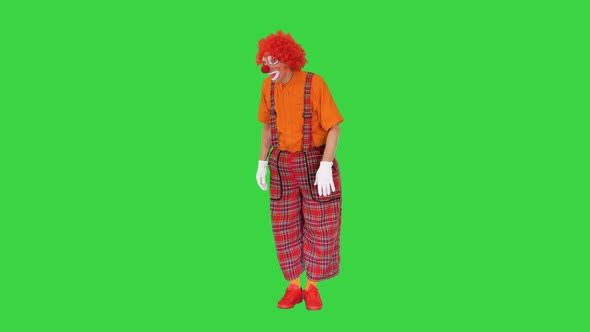 Actor Dressed As a Clown Looking for a Way To Act in a Funny Way on a Green Screen Chroma Key