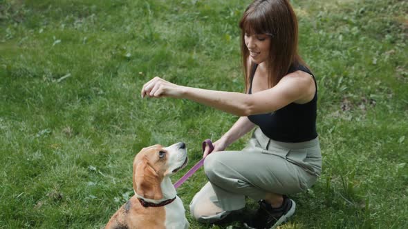 Dog Walker with Dogs Enjoying in Park. Professional Servise Training in Forest and City Streets