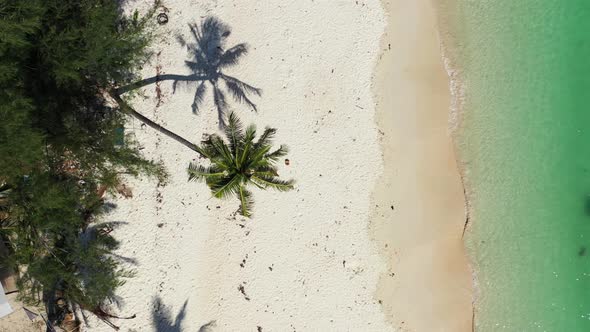 Paradise Island, Maldives archipelago, Drone descending over the palm and white sand beach