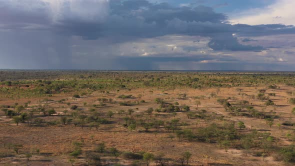 4K Flying above a dry Savannah while storm clouds rolling the background. Zambia, East Africa.