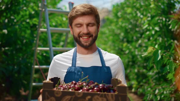 Gardener Holding Sweet Rustic Cherry Box in Outdoor Farmland Plantation