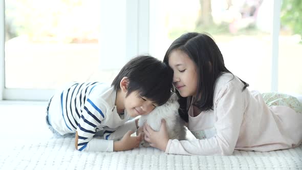 Cute Asian Children Playing With Persian Kitten