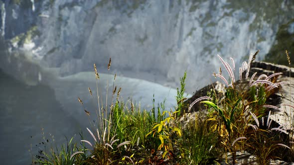 Fresh Grass at Big Rocky Cliff in Ocean alt