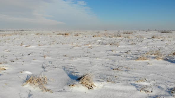 In the middle of snowy meadow. Nature in winter time. Zoom in 