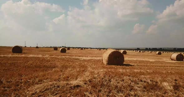 Rural Landscape with Golden Straw Bales