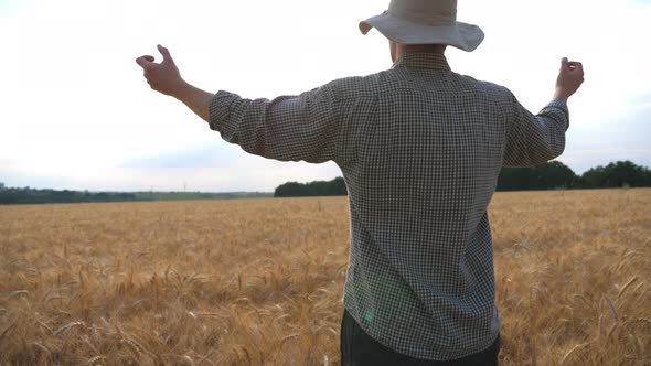 Happy Young Farmer Standing on Ripe Wheat Field and Raising Hands on His Golden Plantation. Male