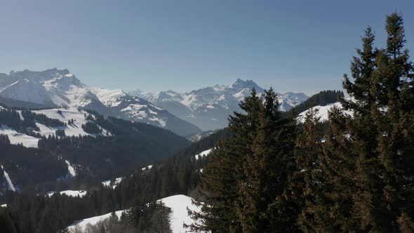 Aerial past pine trees and revealing distant ski lifts in snow covered mountainscape