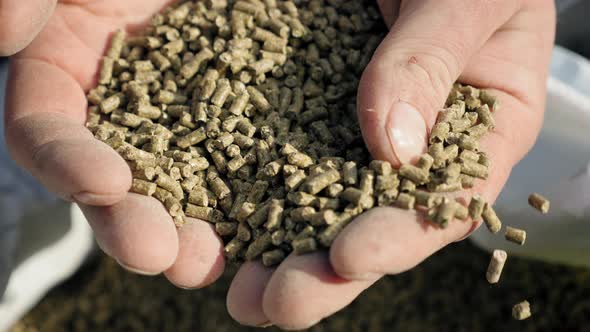 Granulated Feed in the Hands of a Farmer