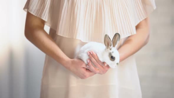 Woman Holding in Hands Cute White Bunny, Take Animal From Shelter Social Program