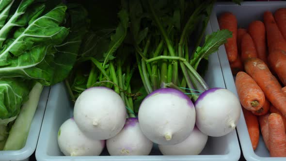 Fresh Vegetables in Supermarket
