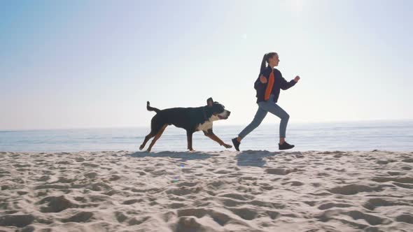 Young Female Playing and Walking with Great Swiss Mountain Dog on Beach Slow Motion