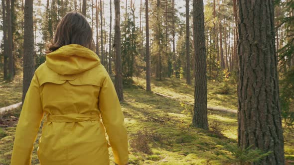 Young Woman Tourist Lady Dressed In Yellow Jacket Of Autumn Forest