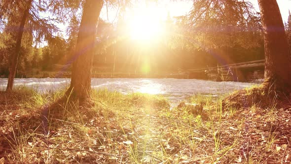 Meadow at Mountain River Bank