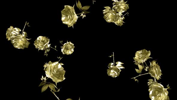 Golden Roses - Falling Loop alt