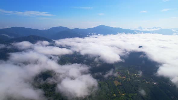 Aerial top view from drone above the mountain fog in the morning