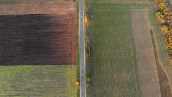 Aerial view of a road, in middle of colorful fields, sunny, autumn day - reverse, tilt, drone shot
