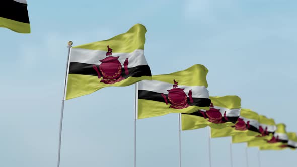 Brunei  Row Of Flags  alt