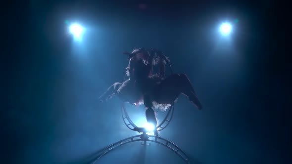 Two Girls Swinging on a Hoop and Making Gymnastic Elements. Black Smoke Background. Slow Motion