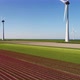 Wind turbines in bulb fields and sea, Urk, Flevoland, Netherlands - VideoHive Item for Sale