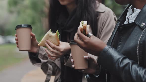 Happy Women Enjoying Sandwiches and Coffee in Park