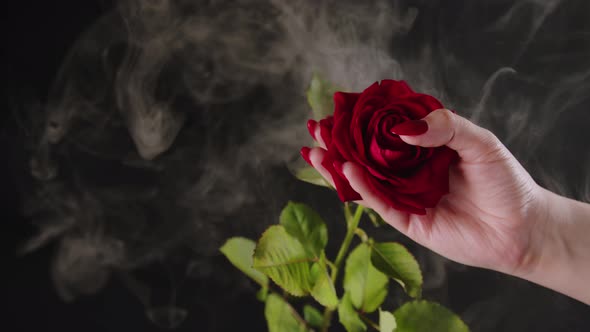 Crop Woman with Red Nails and Rose Flower