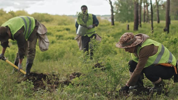 Gardeners Reforesting