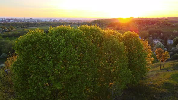 Aerial View of Woodland with Fresh Green Trees and Small Village Homes in Early Spring at Sunset