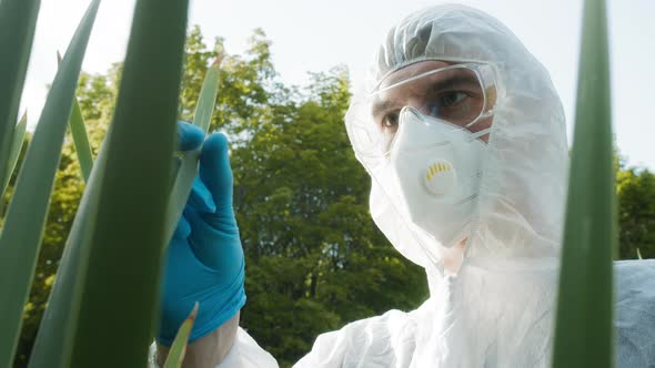 Chemist Wearing Ppe Suit Typing in Gadget Tablet Examining Plants Leaves Sample for Toxicity Testing