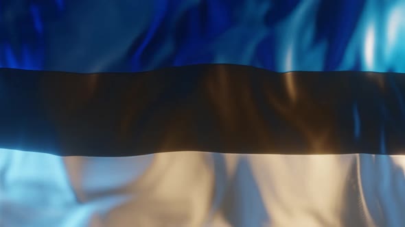 Estonia Flag with Edge Bump