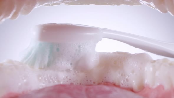 Inside View of Brushing Teeth