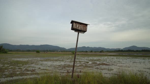 Malays word Balik Kampung mean going back hometown