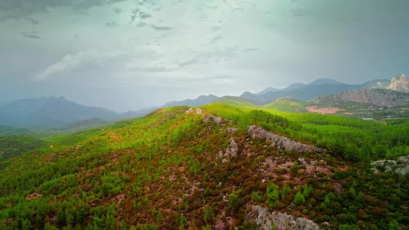 Aerial Forest view in Cloudy Weather