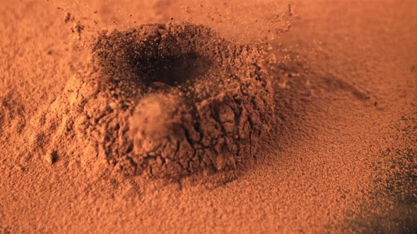 Super Slow Motion of Cocoa Flies When the Truffle Falls