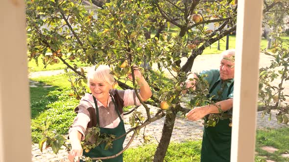 Couple of Gardeners Working