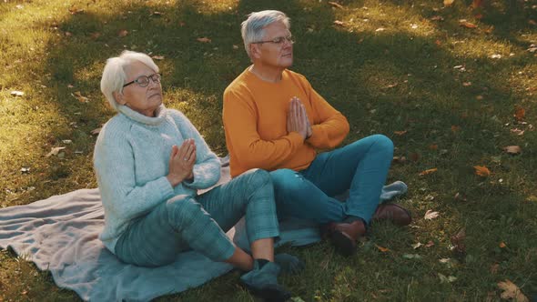 Portrait of Happy Senior Couple Meditating in Autumn Park. Wellbeing Concept