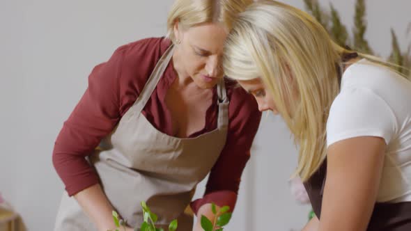 Floral designer being assisted by apprentice