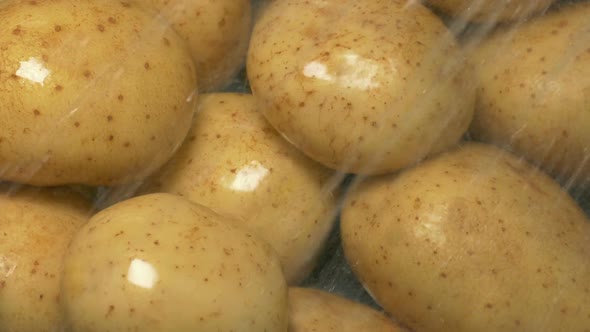 Potatoes Get Cleaned In Water Spray
