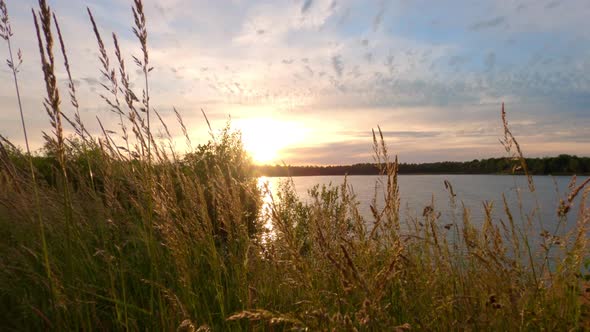 Colorful and Dramatic Sunset Over a Natural Forest Lake Landscape