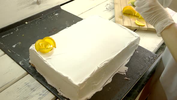 Female Baker Hands Decorating Cake