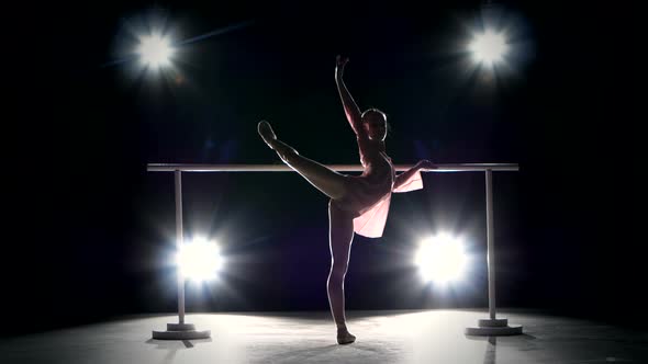 Little Ballerina Posing on Ballet Barre