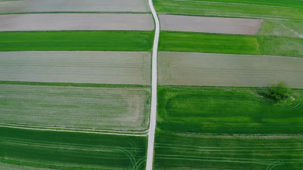 Farm Fields Aerial