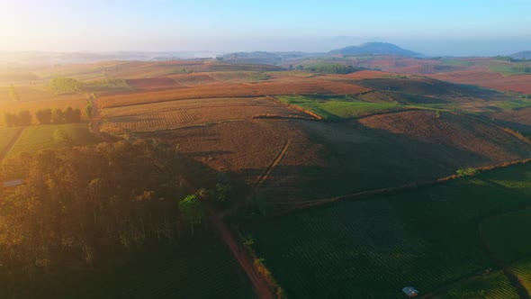 4K : Aerial view flight over the beautiful field in sunset. Countryside scenery.