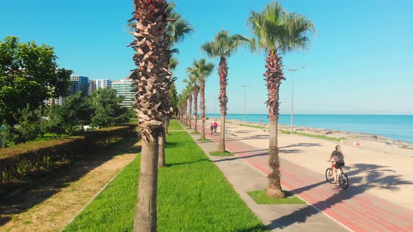 Cylists Cycle On Bicycle Lane By The Sea